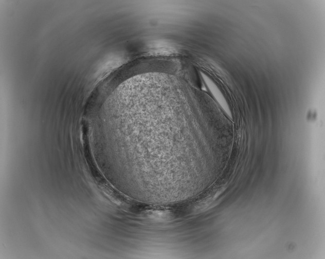 X0000091650552200709061001