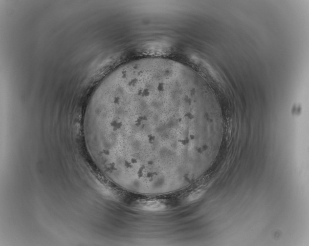 X0000091650553200709061001