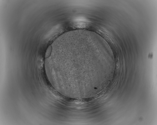 X0000091650555200709061001