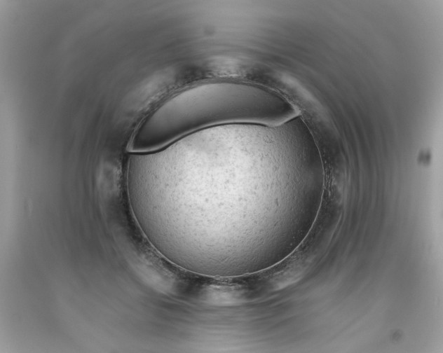 X0000091650556200709061001