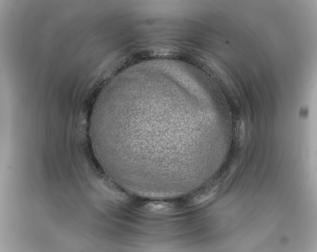 X0000091650557200709061001