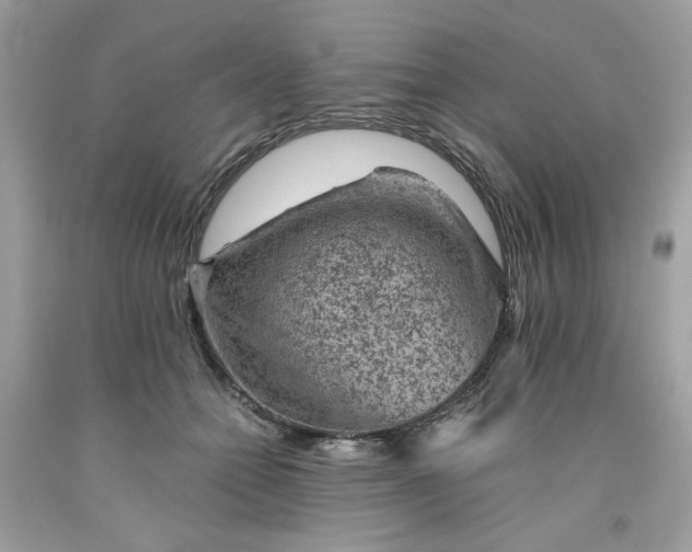 X0000091650558200709061001