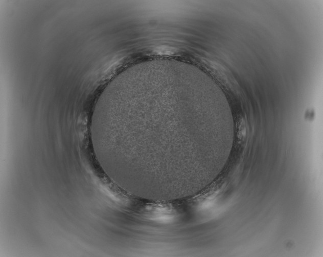 X0000091650559200709061001