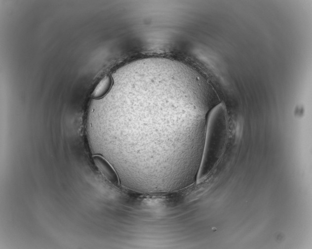 X0000091650560200709061001