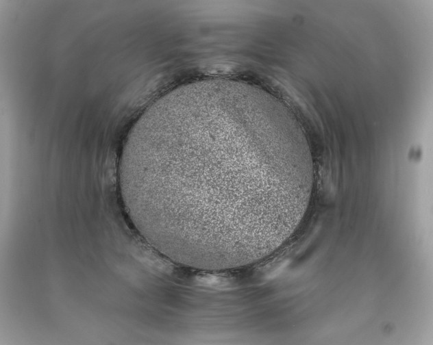 X0000091650561200709061001