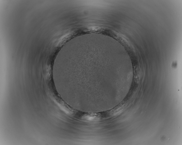 X0000091650563200709061001