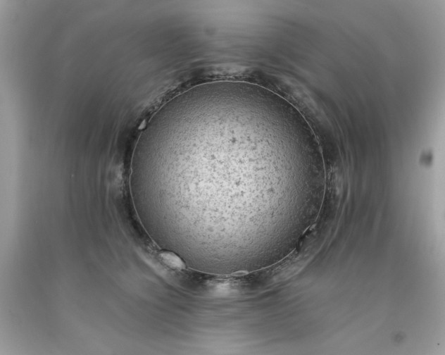 X0000091650564200709061001