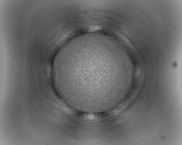 X0000091650565200709061001