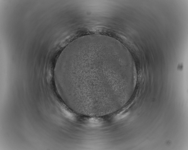 X0000091650566200709061001