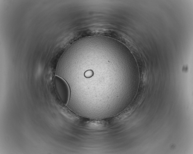 X0000091650567200709061001