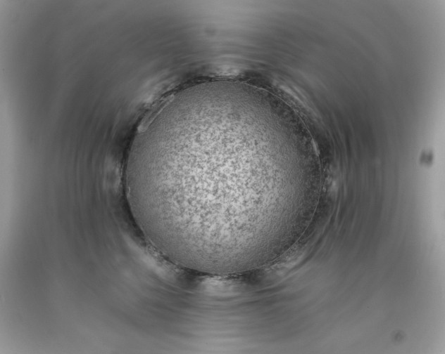 X0000091650568200709061001