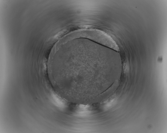 X0000091650570200709061001