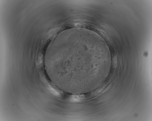 X0000091650571200709061001