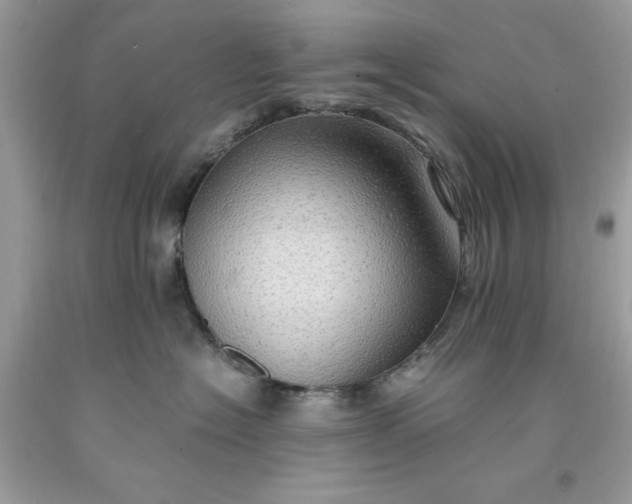 X0000091650574200709061001