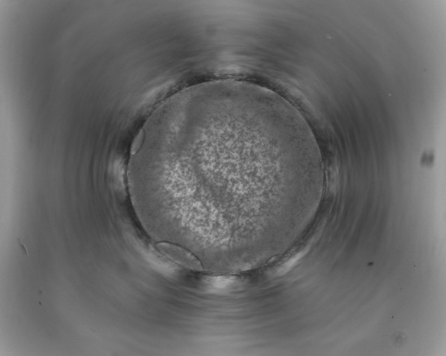 X0000091650575200709061001