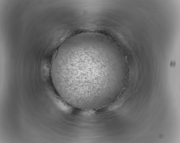 X0000091650576200709061001