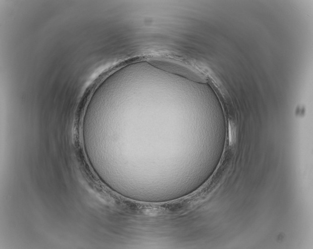 X0000091650579200709061001