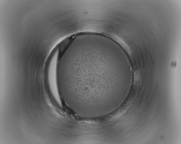 X0000091650580200709061001