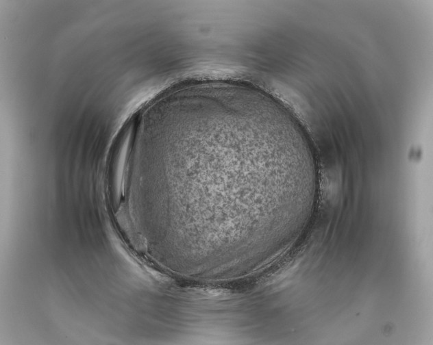 X0000091650582200709061001