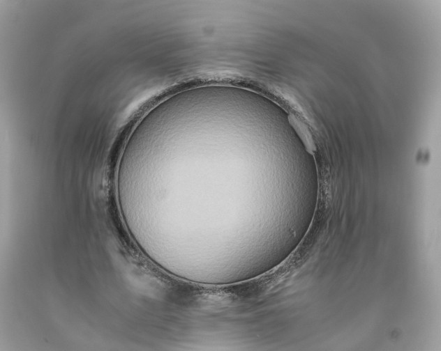 X0000091650583200709061001