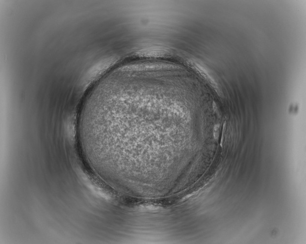 X0000091650586200709061001