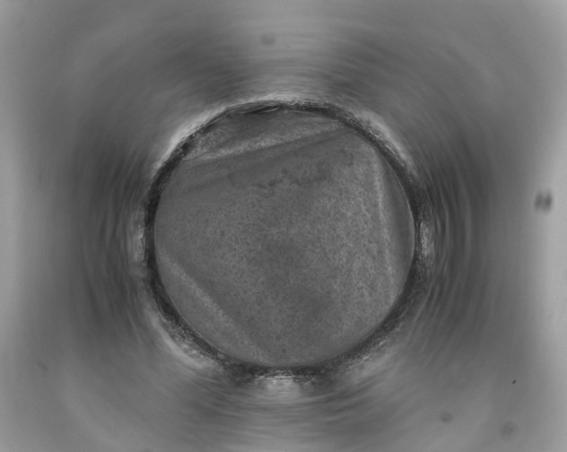 X0000091650588200709061000