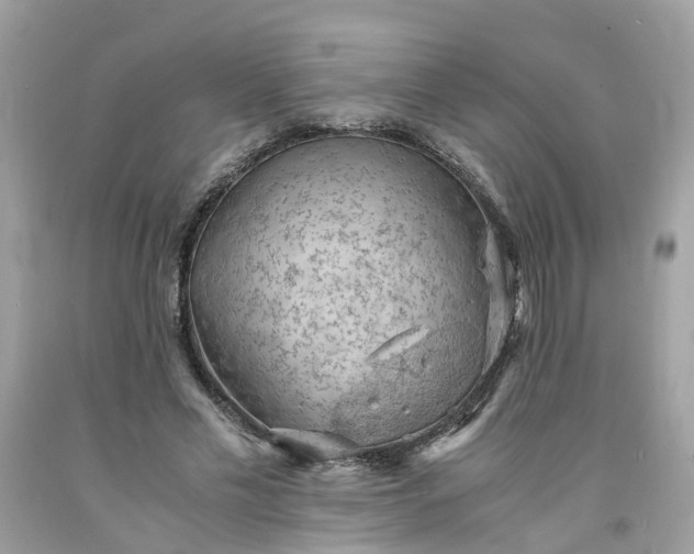 X0000091650589200709061000