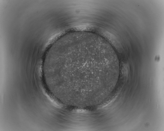 X0000091650590200709061000