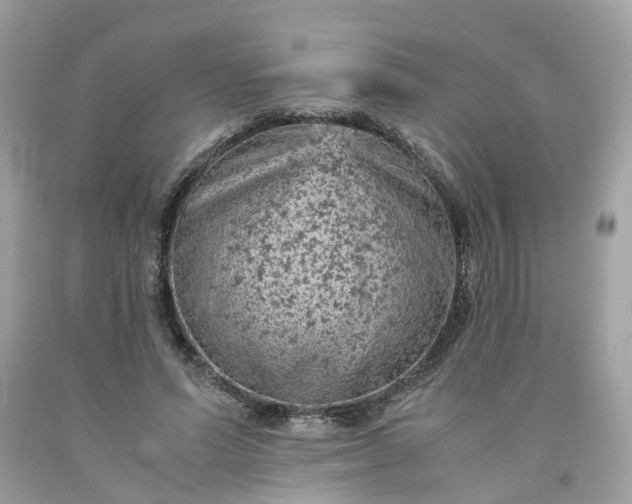 X0000091650591200709061000