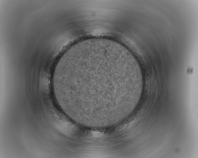 X0000091650592200709061000