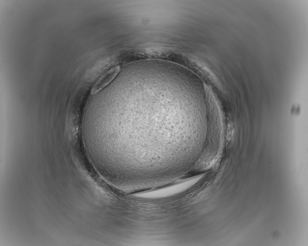 X0000091650593200709061000