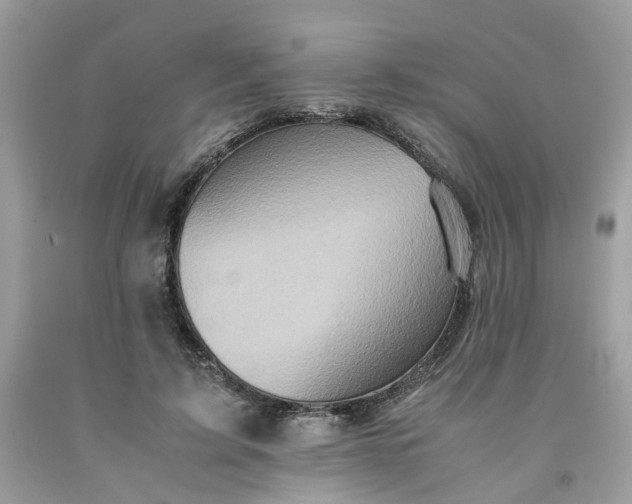 X0000091650595200709061000