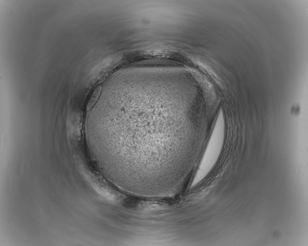 X0000091650597200709061000