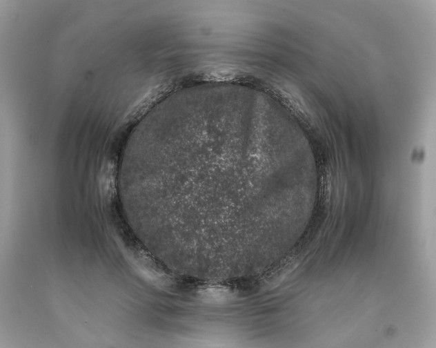 X0000091650598200709061000