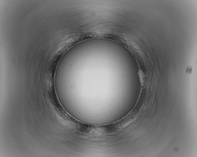 X0000091650599200709061000