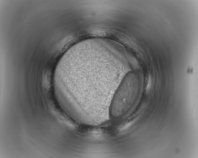 X0000091650600200709061000