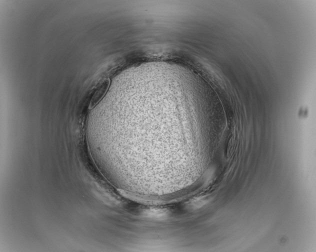 X0000091650601200709061000