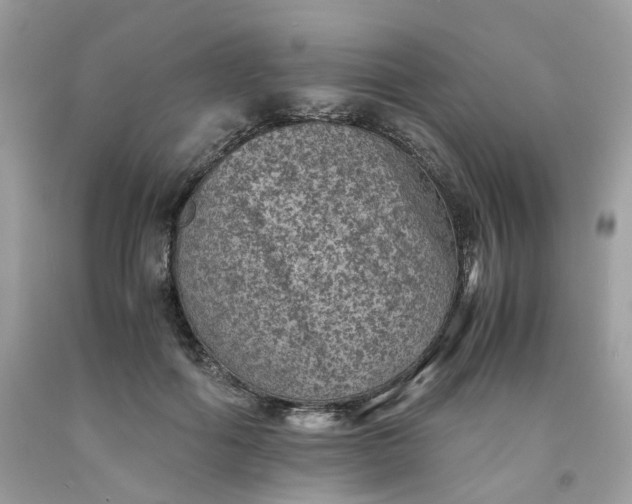 X0000091650602200709061000