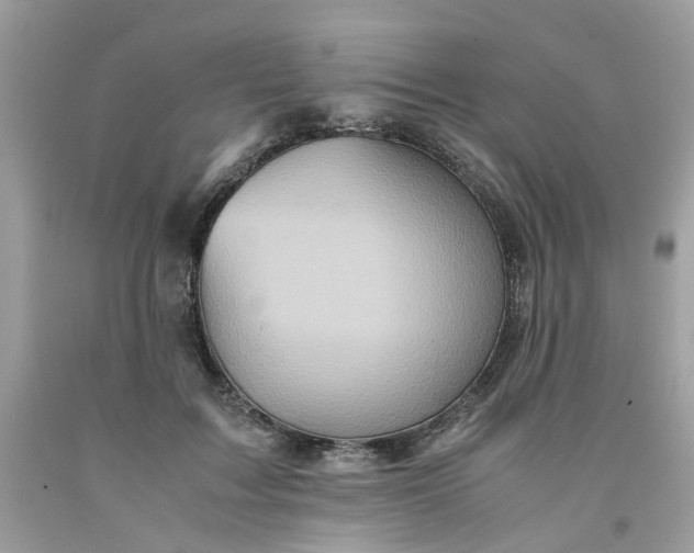 X0000091650603200709061000