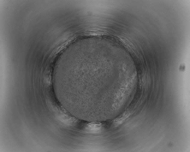 X0000091650606200709061000