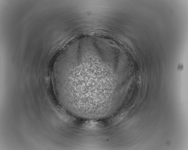 X0000091650607200709061000