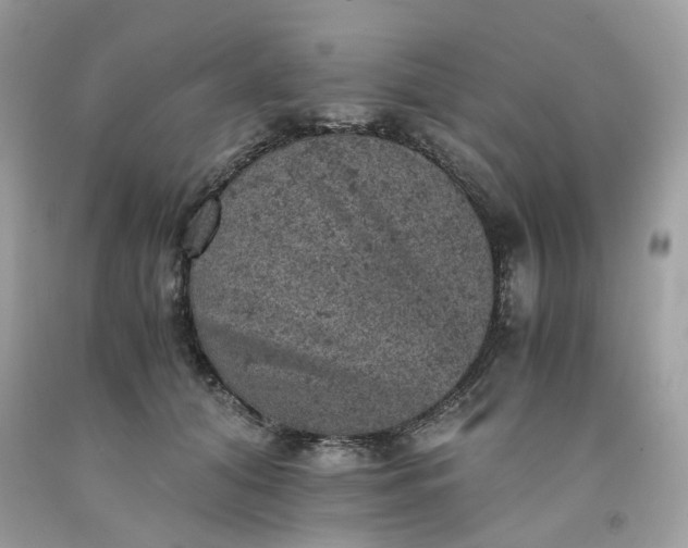 X0000091650608200709061000