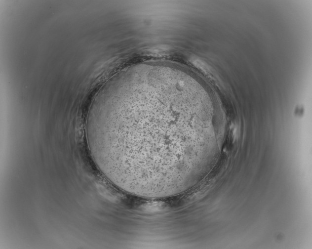 X0000091650609200709061000