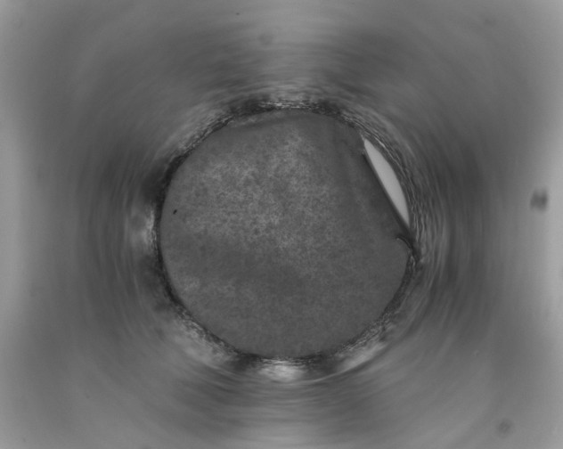 X0000091650610200709061000