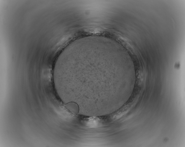 X0000091650612200709061000