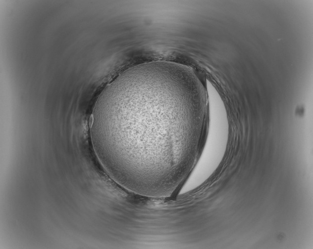 X0000091650613200709061000