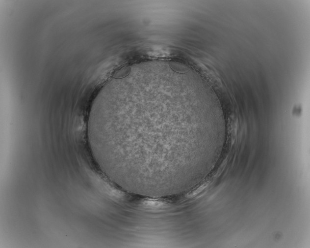 X0000091650614200709061000