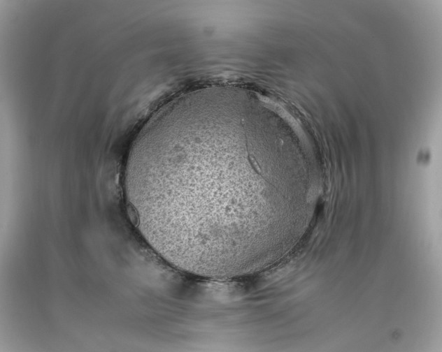 X0000091650615200709061000