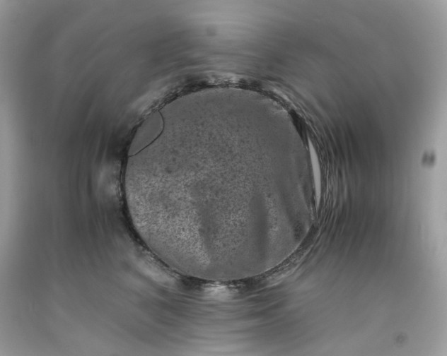 X0000091650616200709061000