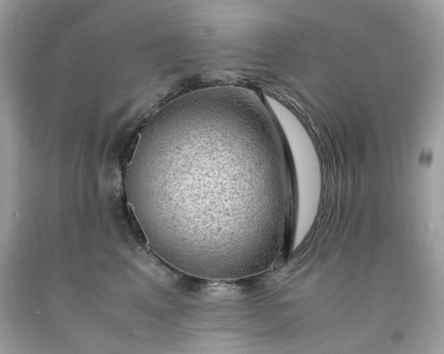 X0000091650617200709061000